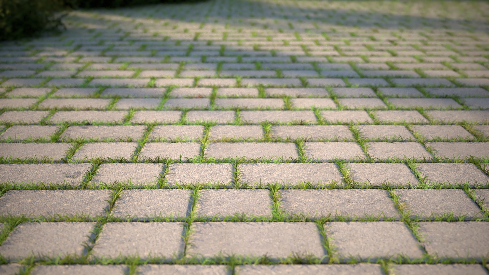 How To Install And Maintain Concrete Pavers