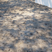 Scanned Playground Sand Soil - PBR