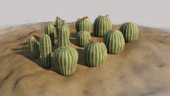 Small cactus models