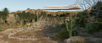 The Saguaro house - Making-of