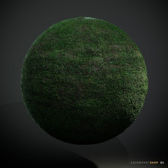 Short Grass - Scanned PBR