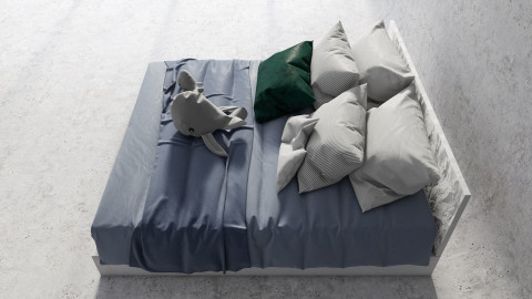 Arctic room bed