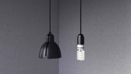 Shade + bulb ceiling lamp