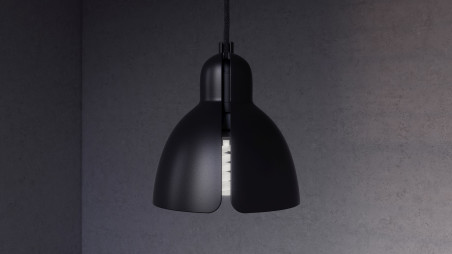 Shade + bulb ceiling lamp