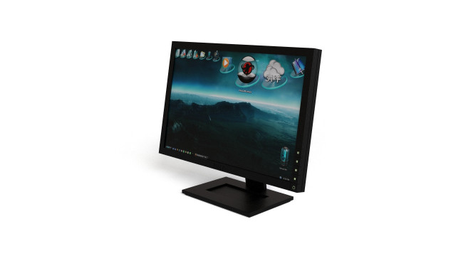 Dell - LCD screen