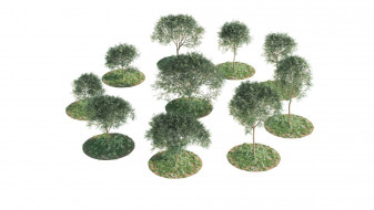 Low-Poly Acacia Trees