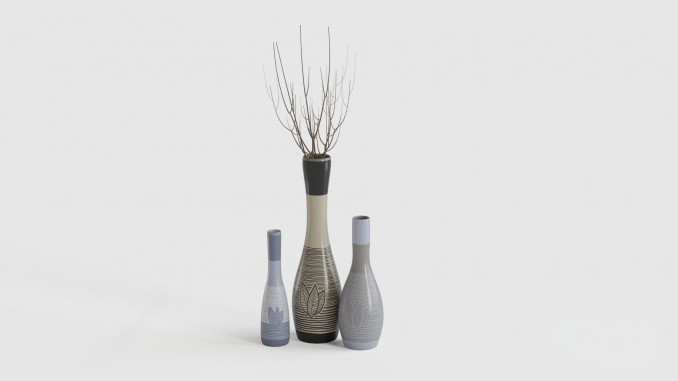 Vases with natural print