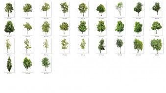forest/digital Trees vol. 1