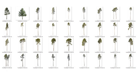 forest/digital Trees vol. 4 - Conifers