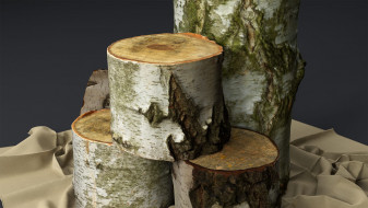 Decorative Birch logs