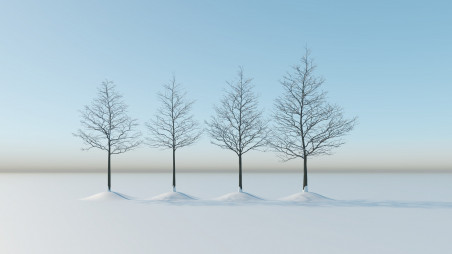 Winter trees pack